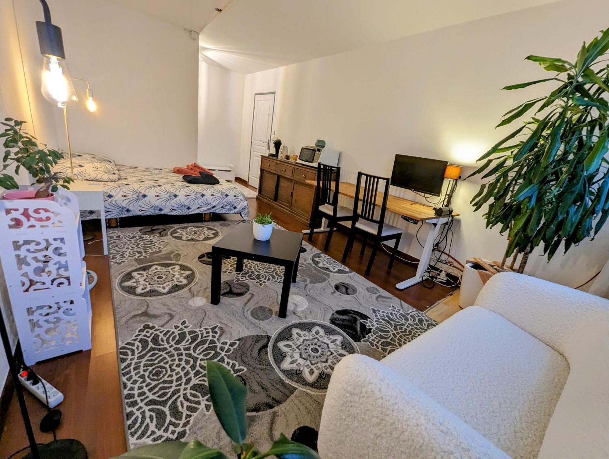 Chez Les P'Tits Loups Lägenhet Strasbourg Exteriör bild
